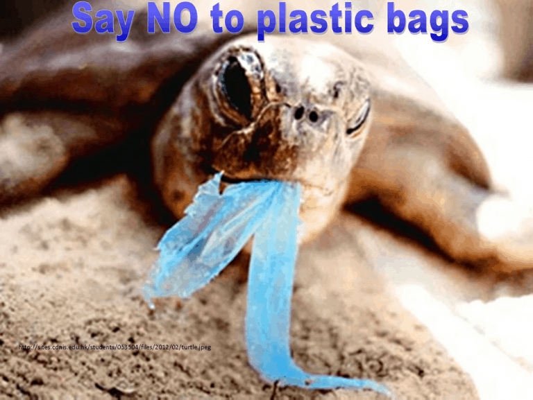 Say No To Plastic Bags